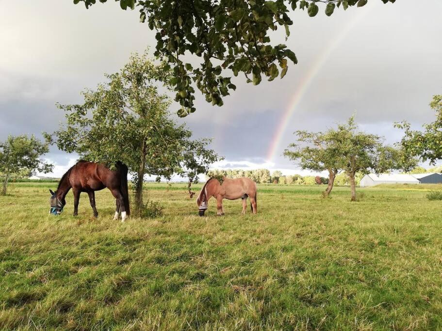 De Kaasmakerij - Ruim Vakantiehuisje Op Huize Blokland Hem Exteriér fotografie