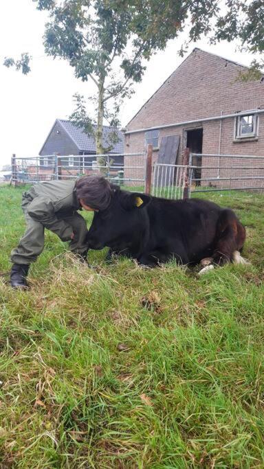 De Kaasmakerij - Ruim Vakantiehuisje Op Huize Blokland Hem Exteriér fotografie