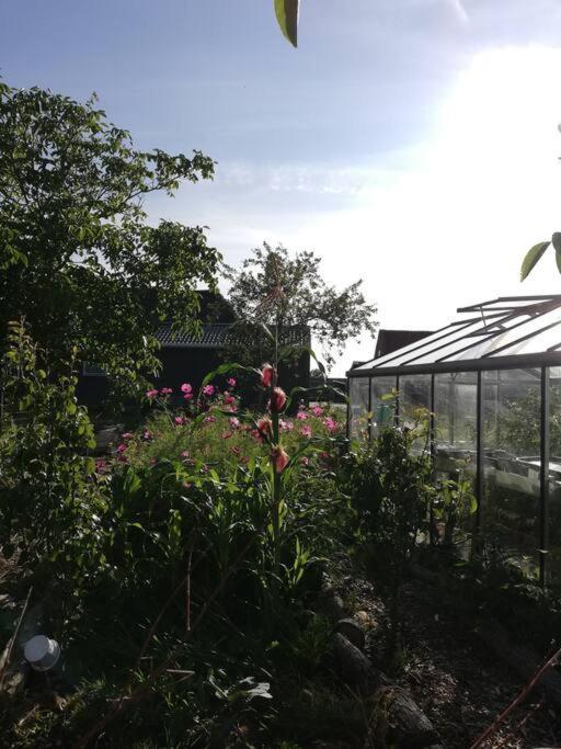 De Kaasmakerij - Ruim Vakantiehuisje Op Huize Blokland Hem Exteriér fotografie